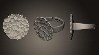 Jewelry rings ring 127 3d model